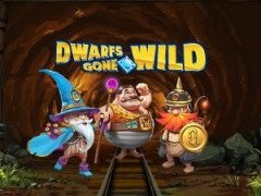 Dwarfs Gone Wild